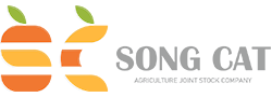SONG CAT AGRICULTURE JOINT STOCK